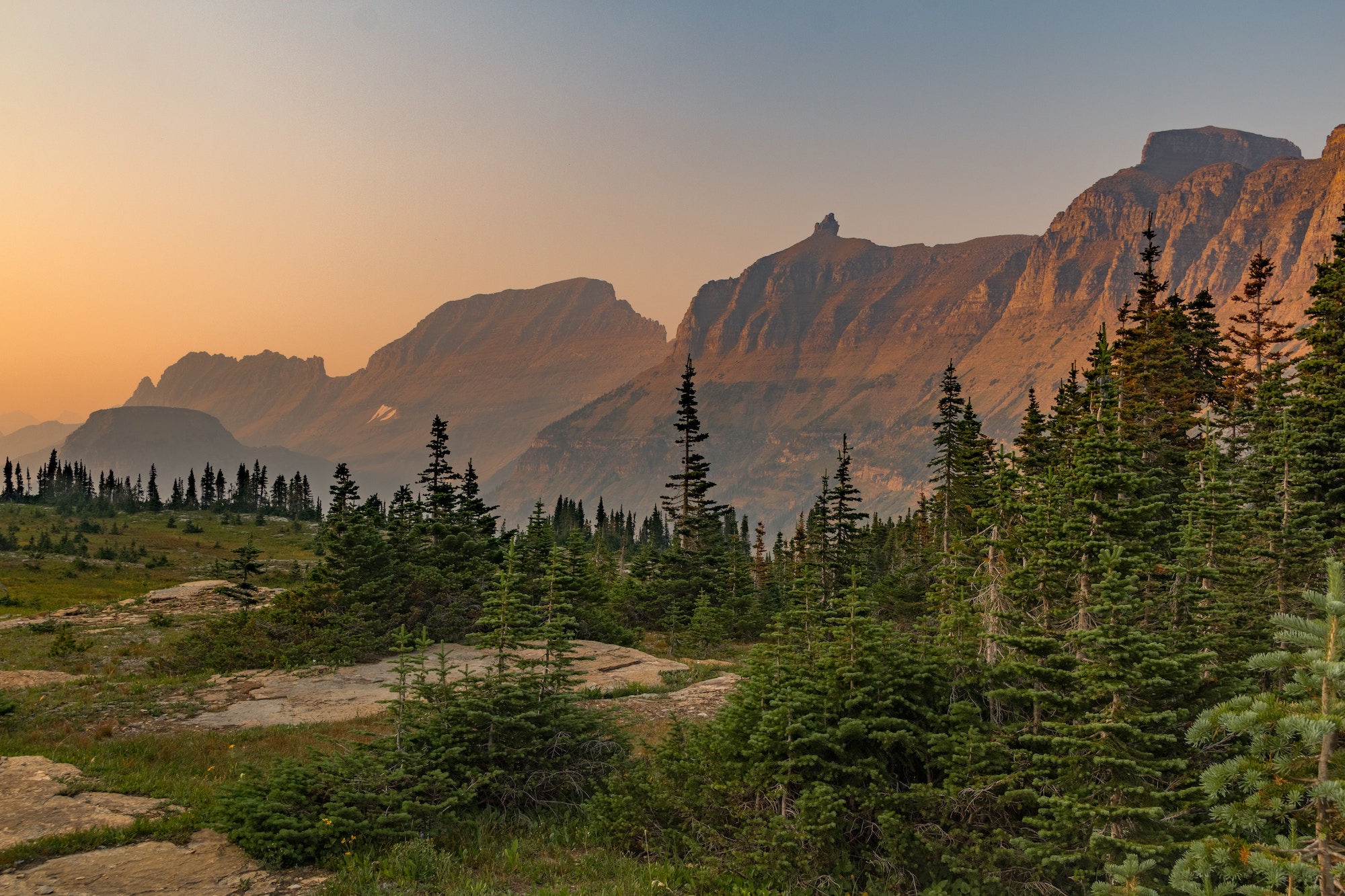 The Forest Hiker Tour image 3